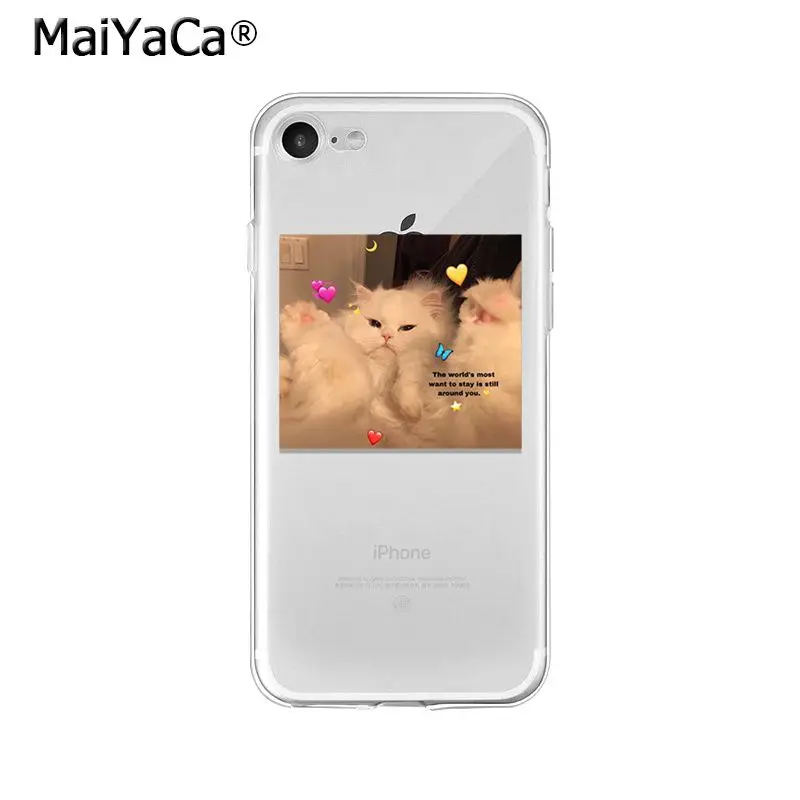 Animal Dog Cat Love You Friend Couple