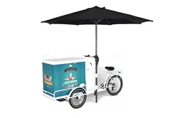 3 Wheel electric pedicab rickshaw passenger cargo bike tricycle bicycle