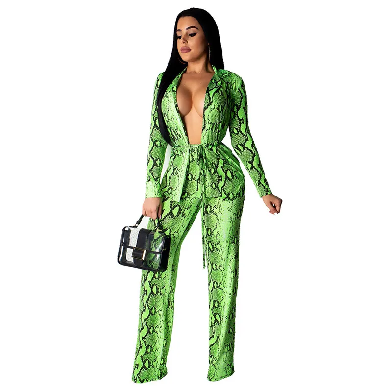 

Autumn Womens Two Piece Sets 2019 Casual Long Sleeve Snake Print Top and Full Length Pants Set Tracksuit Women Sexy Sweat Suits