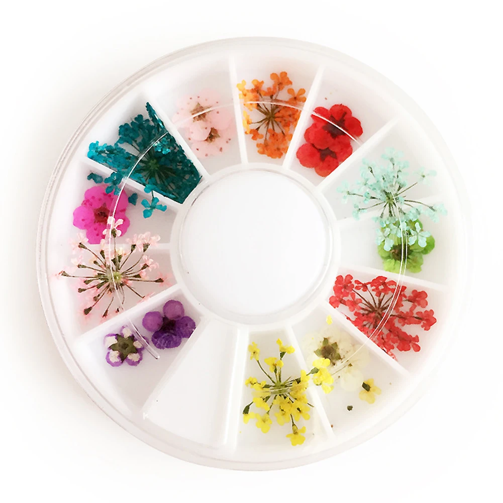 

12Cells/ Box 3D Mixed Real Dried Flower DIY Decoration For UV Gel Nail Art Tips