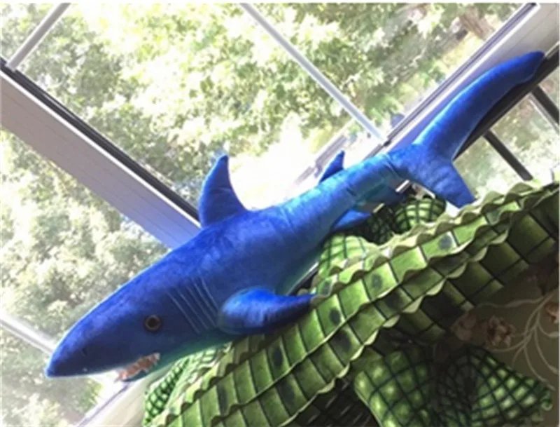 shark15