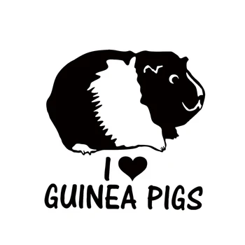 

Hot Sale I Love Guinea Pigs Vinyl Decal Car Window Bumper Sticker Cavy Rodents Pet Jdm