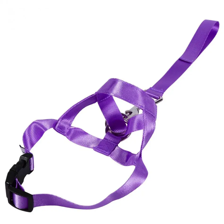 Aliexpress.com : Buy 1Pc Pet Dog Puppy Head Collar Stop