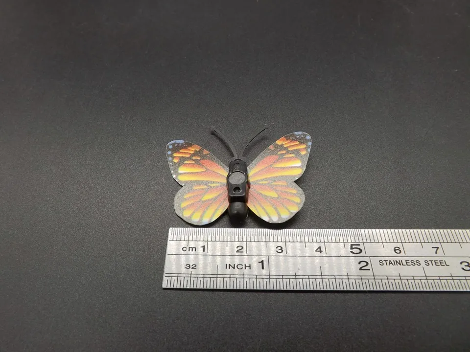 I258-Butterfly (13)