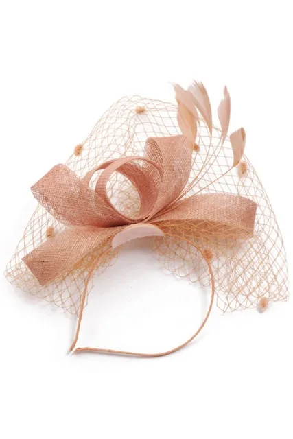Топ продаж Модные женские очаровательные Пенни сетки ленточки для шляп и перьев Свадебная вечеринка Свадебная шляпа для женщин 20 см* 21 см* 7 см - Цвет: Pink
