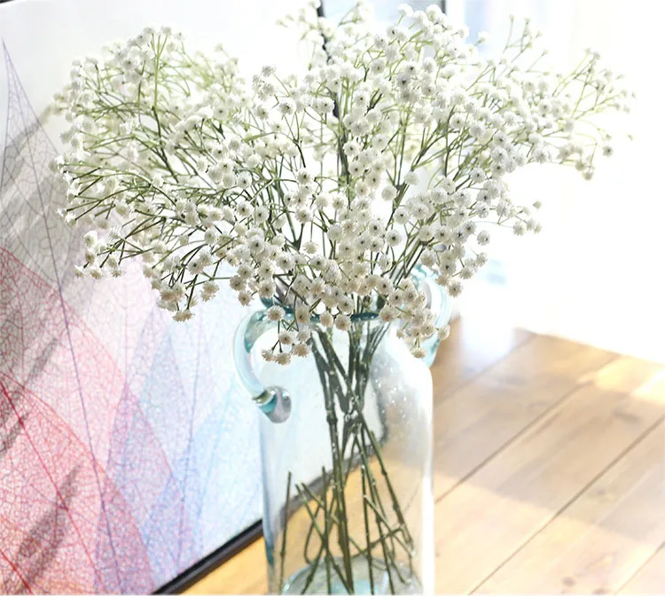 4656477758_1885843273