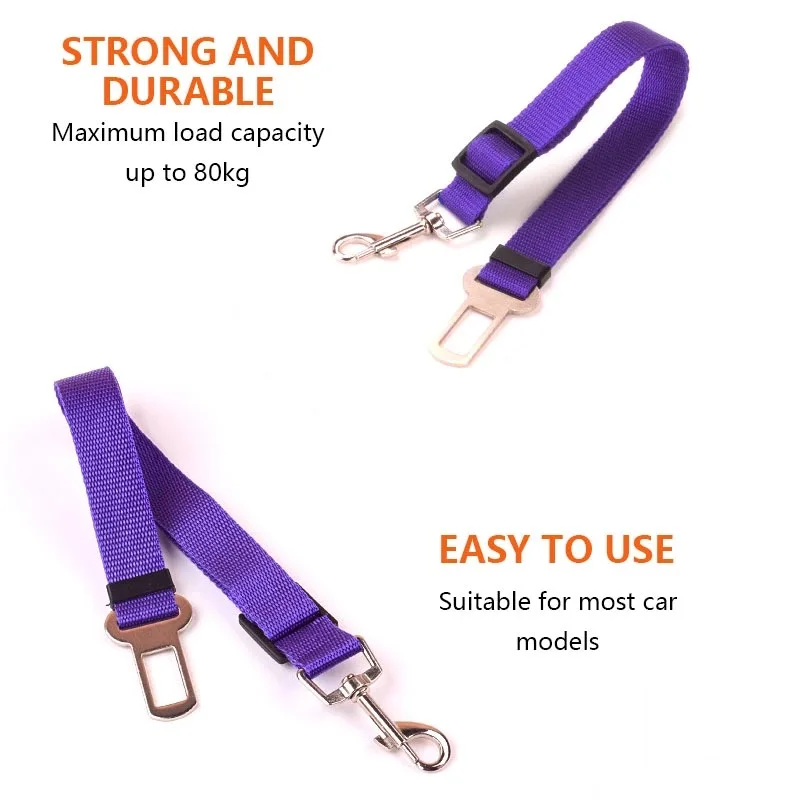 微信图片_20190529130441