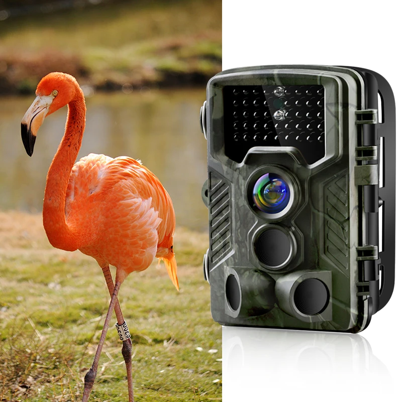 

Trail Camera Hunting Camera Outdoor Wildlife Scouting Camera 42 Infared LED PIR Sensor Infrared Night Vision 12MP 1080P HC800A