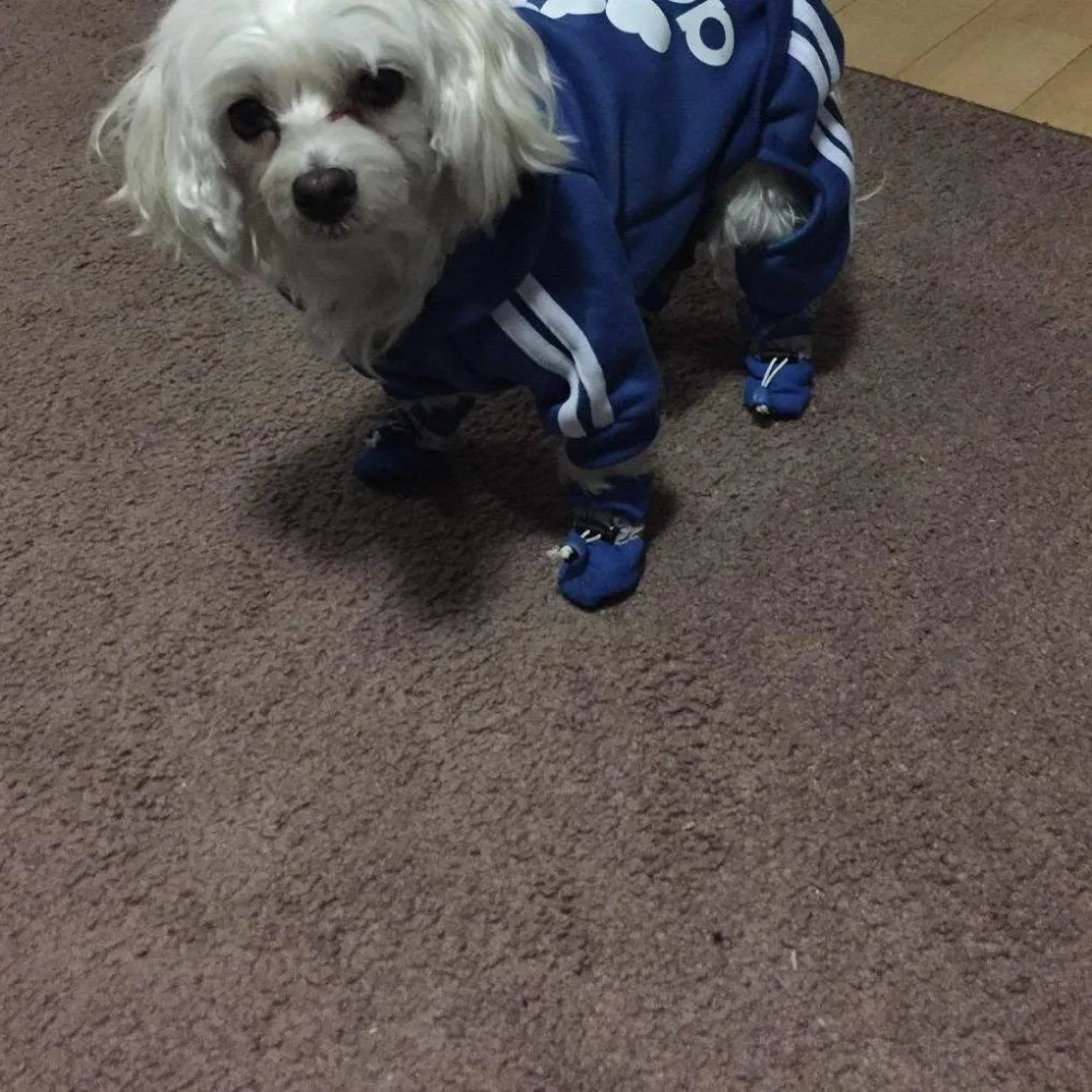 71-n9LvBwML._SL1020_