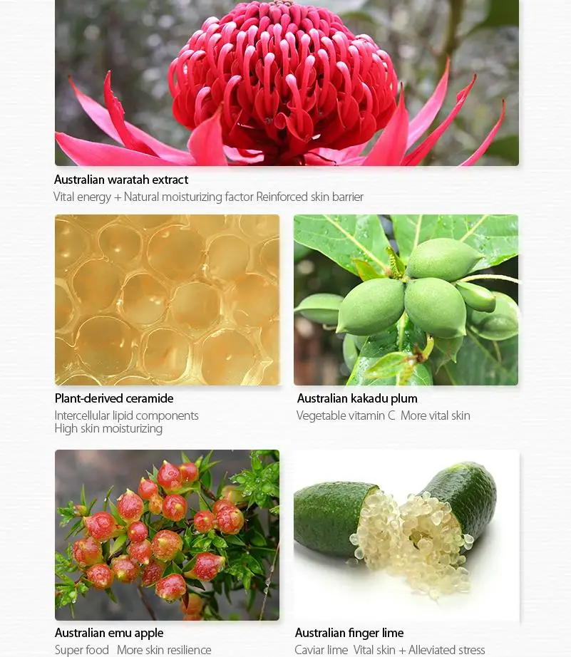 THE SAEM Urban Eco Waratah светильник крем 60 мл корейский увлажняющий для лица Ремонт грубой