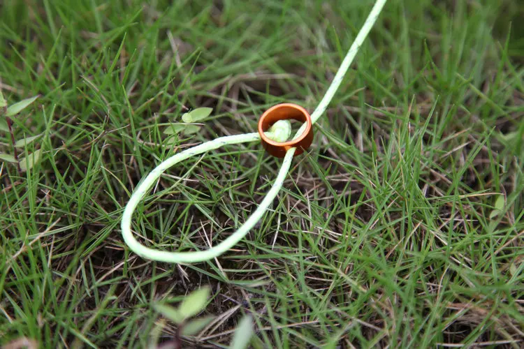 HTB1tuBvOXXXXXbqXFXXq6xXFXXXn