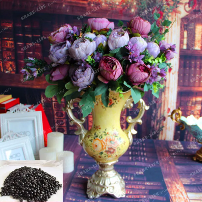

10pcs Retro Peony Bonsai Paeonia Suffruticosa Andrews MIX Colors Indoor Bonsai Flower For Home Garden Plant Peony Flower Bonsai