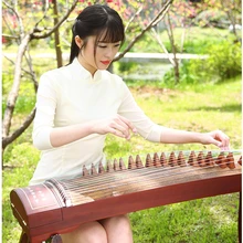 Guzheng массив красного дерева для начинающих профессиональный тест производительности для взрослых