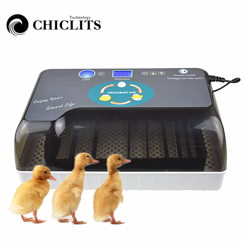Digital Egg incubator automatic Intelligent Egg incubators Hatcher Large 12 eggs incubators For Chicken Duck Poultry Quail Eggs Digital Egg incubator automatic Intelligent Egg incubators Hatcher Large 12 eggs incubators For Chicken Duck Poultry Quail Eggs