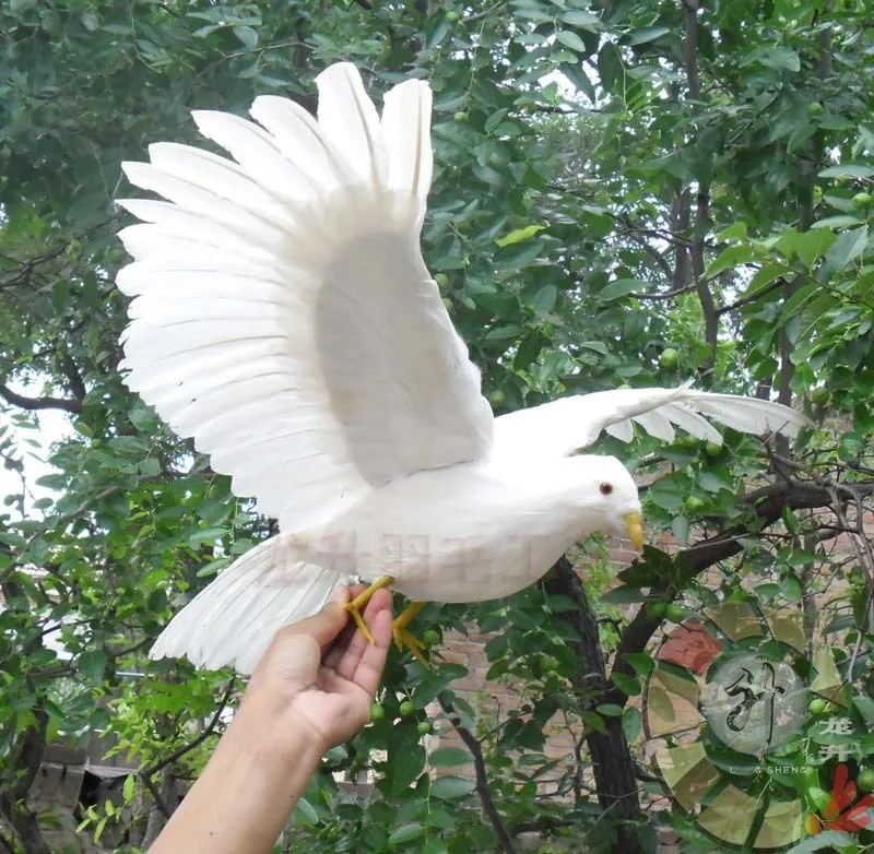 big new simulation wings pigeons toy polyethylene & furs wings dove doll gift about 75x42cm 0997 цена big new simulation wings pigeons toy polyethylene & furs wings dove doll gift about 75x42cm 0997 цены онлайн