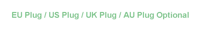 Plug