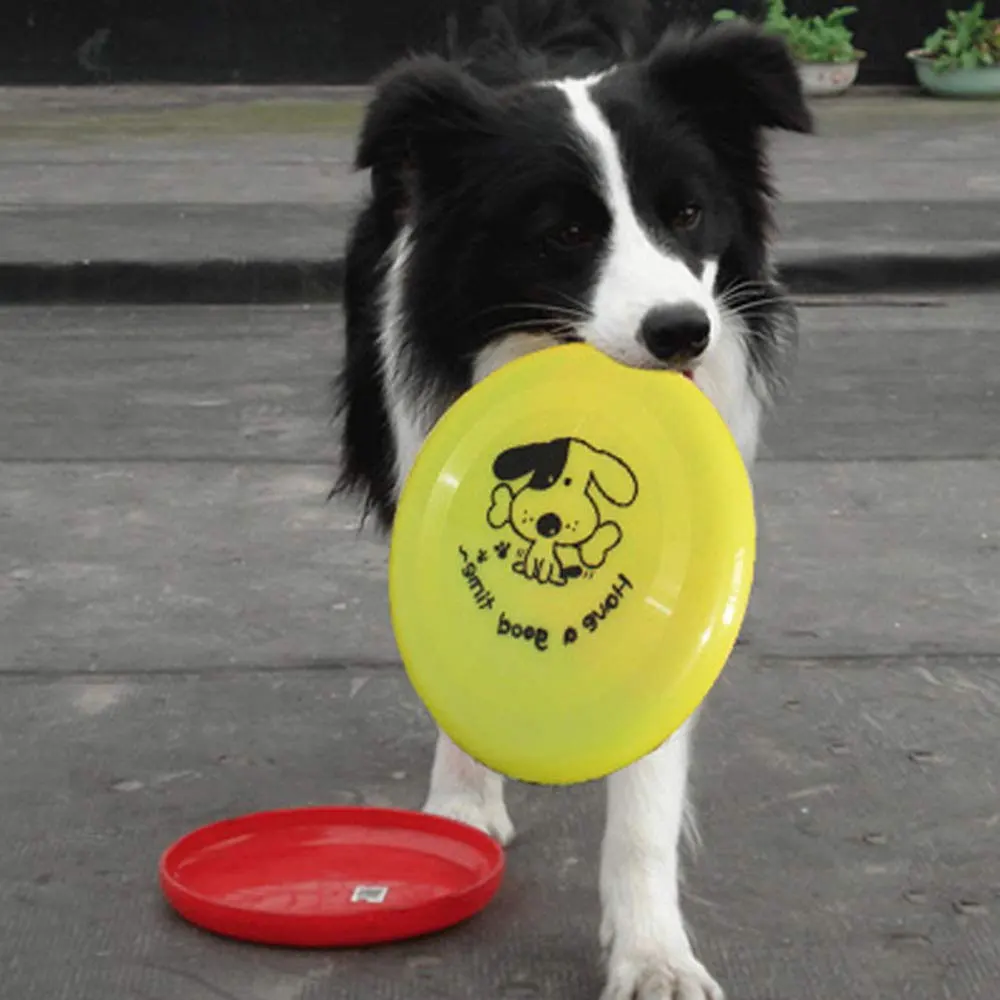 1 قطعة الكلب Frisbees التدريب اللعب تحلق أقراص الطيارة سيليكون ل كبير الكلاب الصغيرة البلاستيك لون عشوائي تسليم