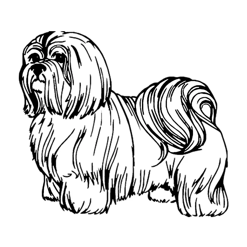 shih tzu harness for sale shih tzus dogs breeds picture shih tzu harness for sale shih tzus dogs breeds picture