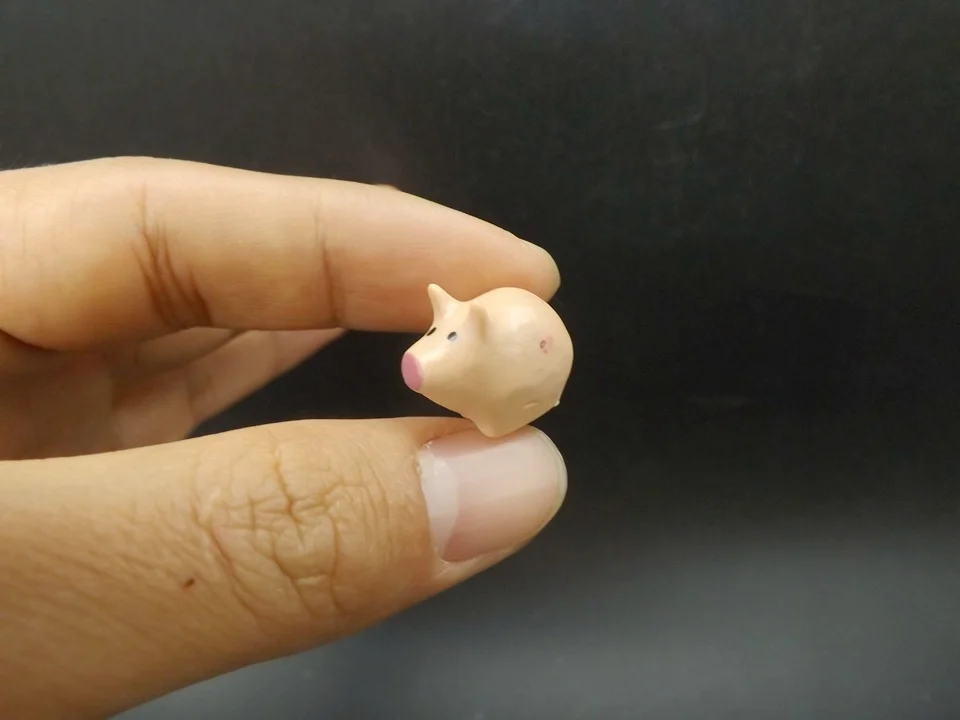 Tiny-S004Pig (4)