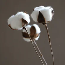 10 шт. домашний декор DIY ремесла с стволом натуральные вечерние сушеные прессованные Свадебные хлопковые цветы