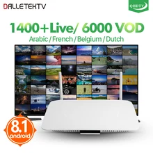 Leadcool IPTV France Arabic Q1404 Android 8.1 TV box Quad-Core QHDTV Subscription IPTV Belgium France Arabic Netherlands IPTV