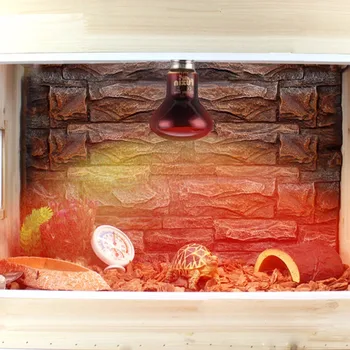 

E27 Pet Heating lamp 60/75/100w Amphibian Bird Snake Reptile Red Light Night Heating Lamp