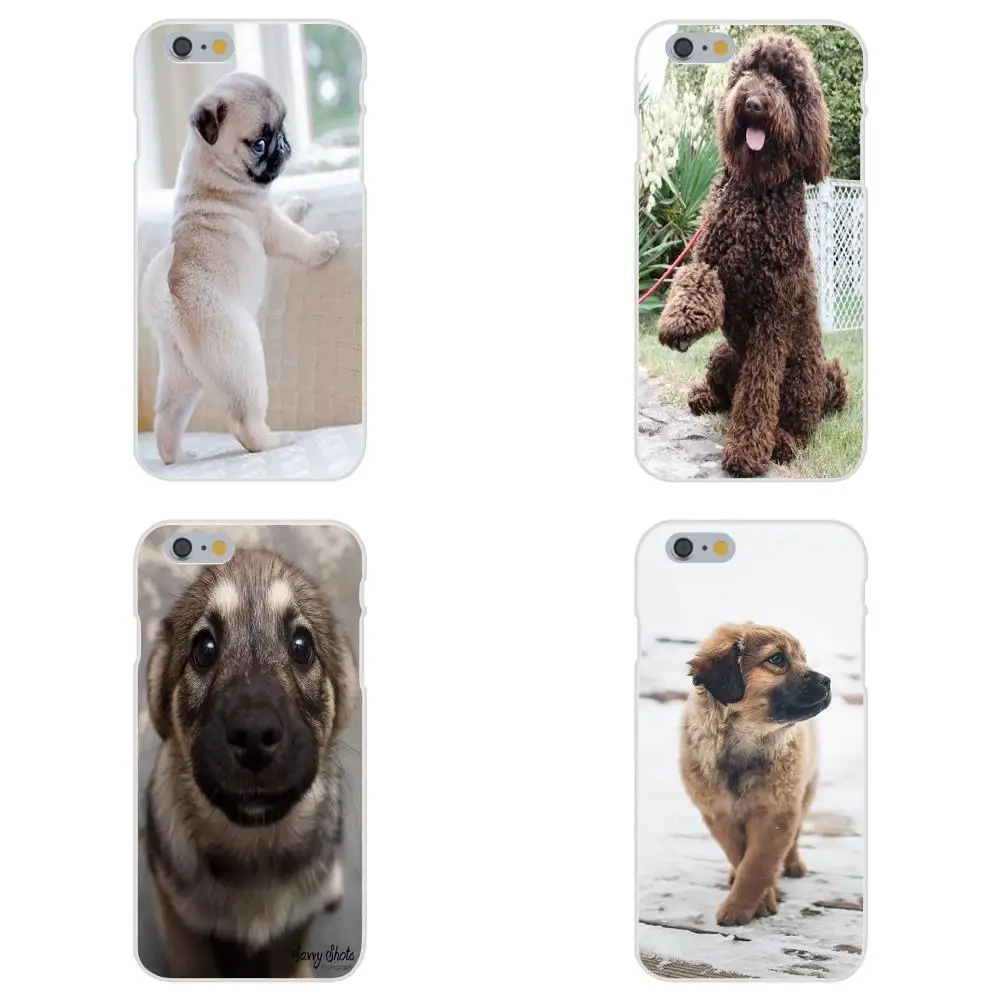Мягкий ТПУ защитный чехол для Apple iPhone 4 4S 5 5C 5S SE 6 6S 7 8 Plus X XS Max XR | Мобильные телефоны