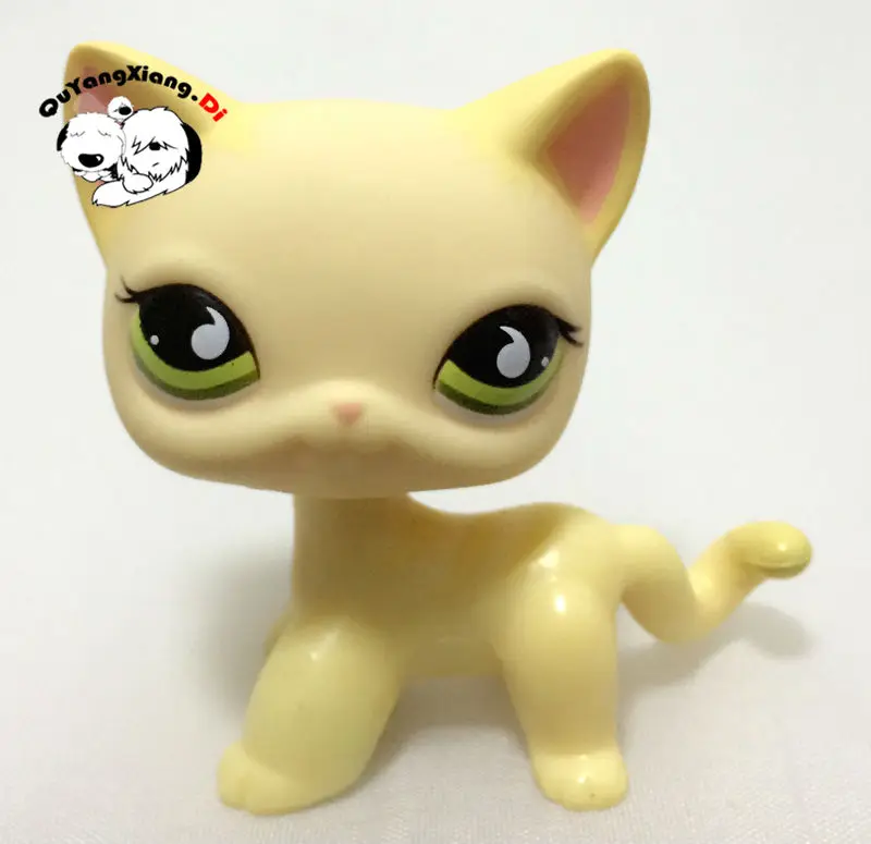 lps095-2