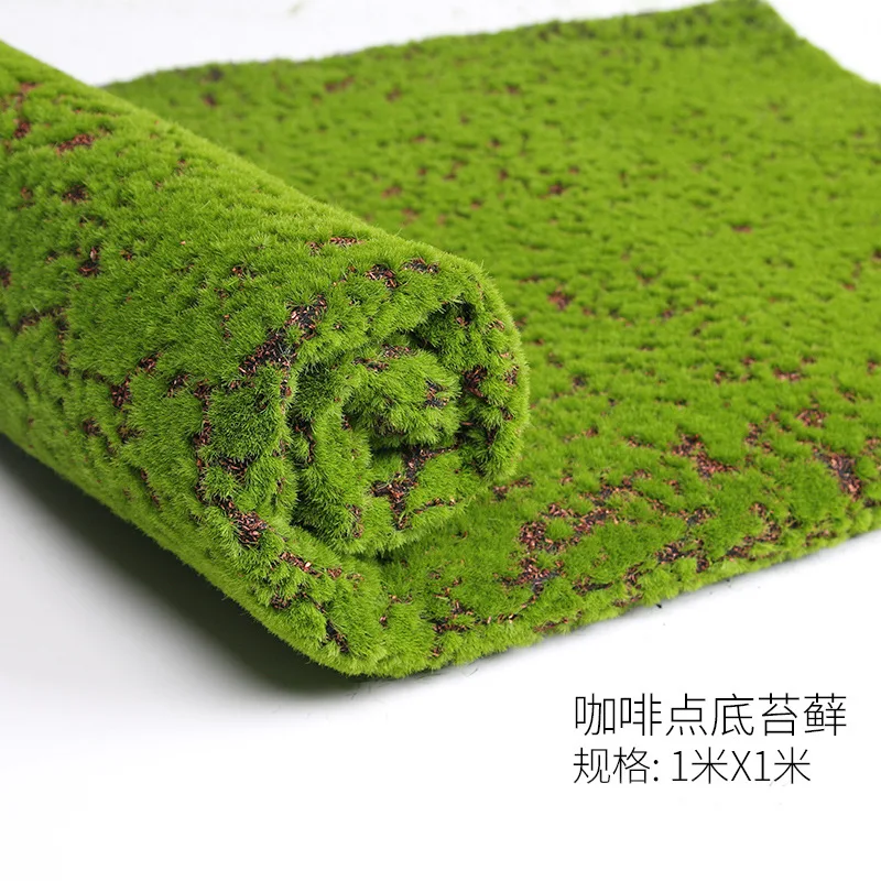 7293956231_1617904826