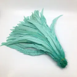 Natural Brown Rooster Tail Feather Accessories for DIY and Performance (Mint green)