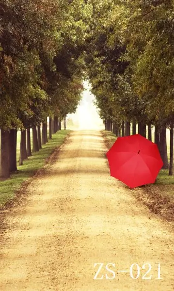 

3*5M Art Cloth Custom Photography Backdrops Prop Indoor and Outdoor Studio Background ZS-021