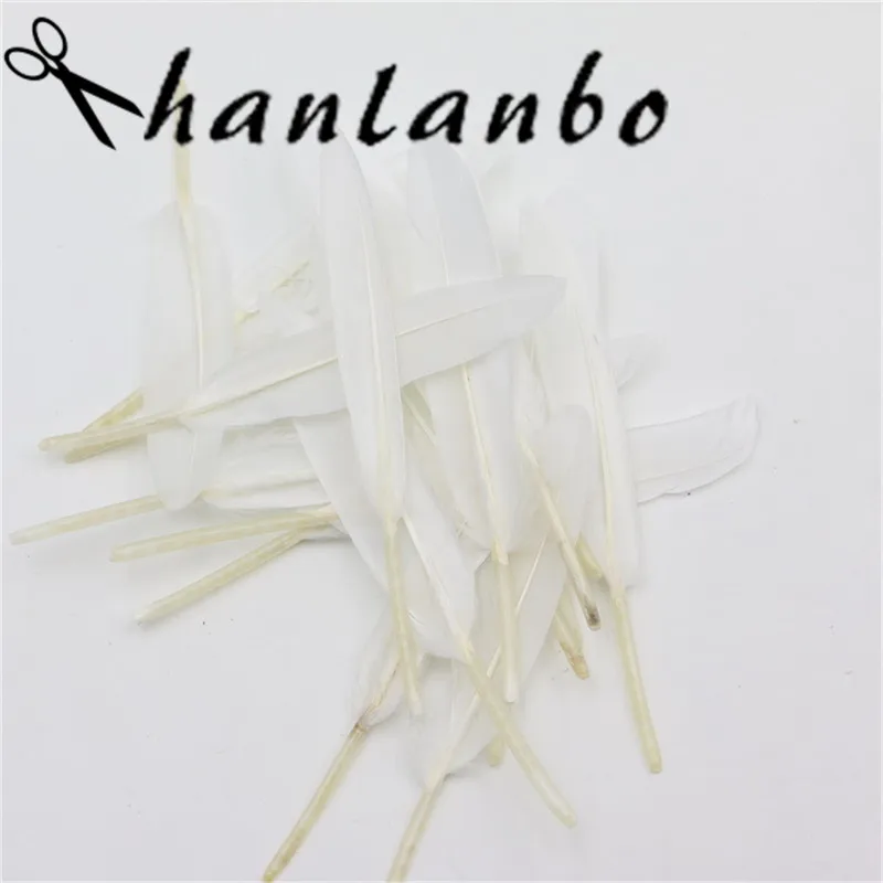 HTB1NHNaOXXXXXbKXXXXq6xXFXXXL