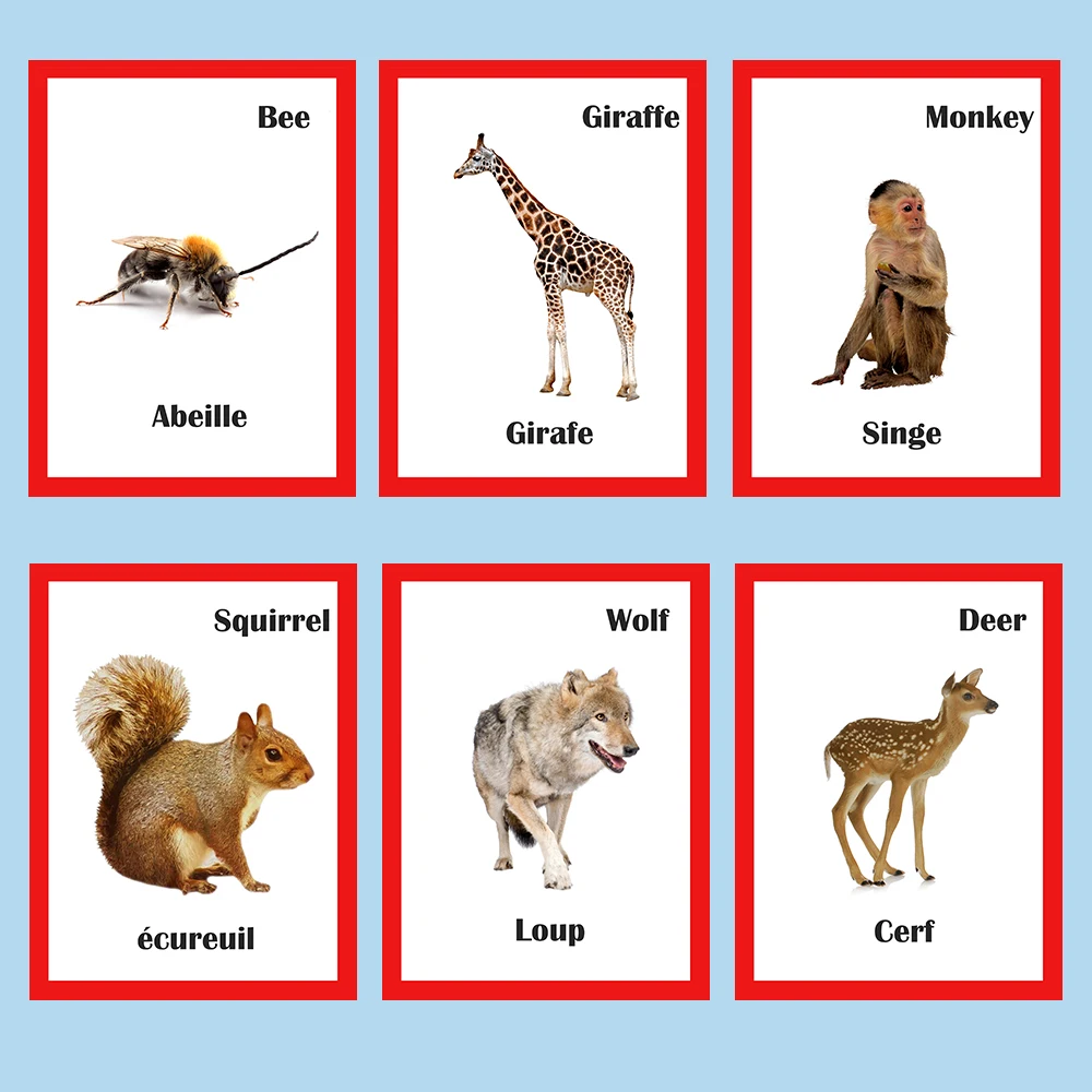 Educativos para Crianças Brinquedos para Crianças Francês Inglês Animais Aprendizagem Flashcards Cartão Jogos Juguetes Educativos 30pcs - 3 Cartão Jogos Educativos para Crianças Crianças Juguetes