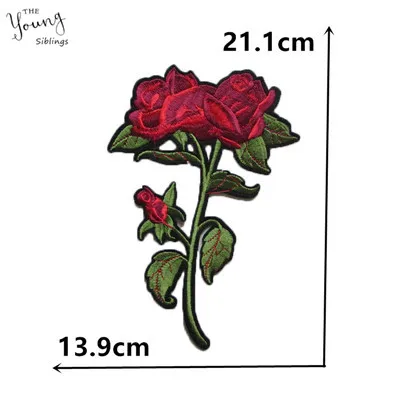 C5405 (6) - 