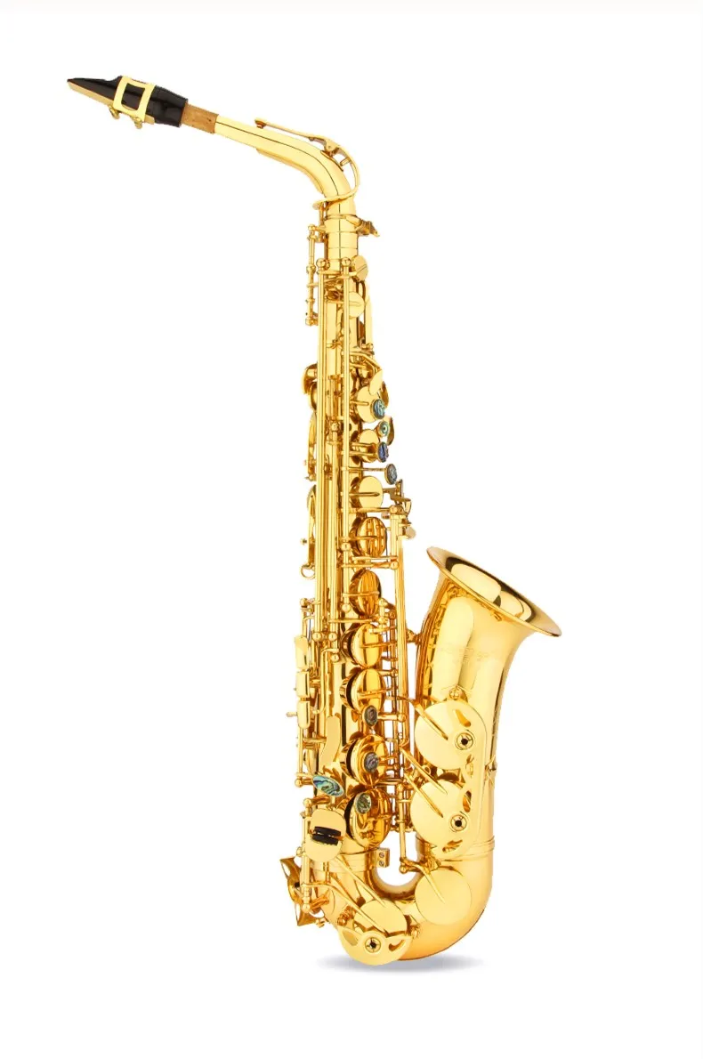 

professional France SAS-54R High-Quality saxophone E flat Alto saxophone novice playing Grading Lacquered gold saxophone Case