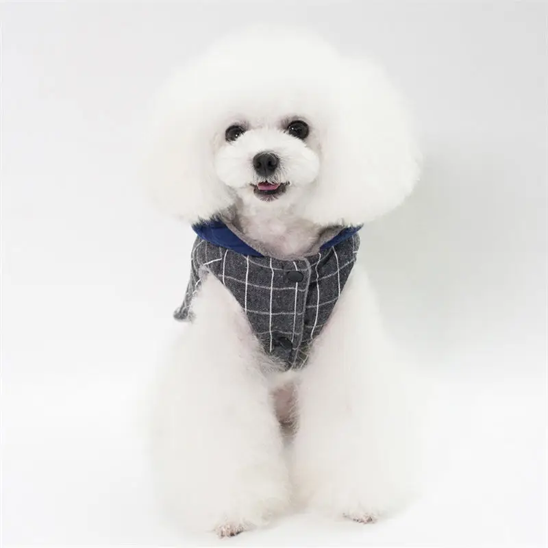 QQ20181211150157