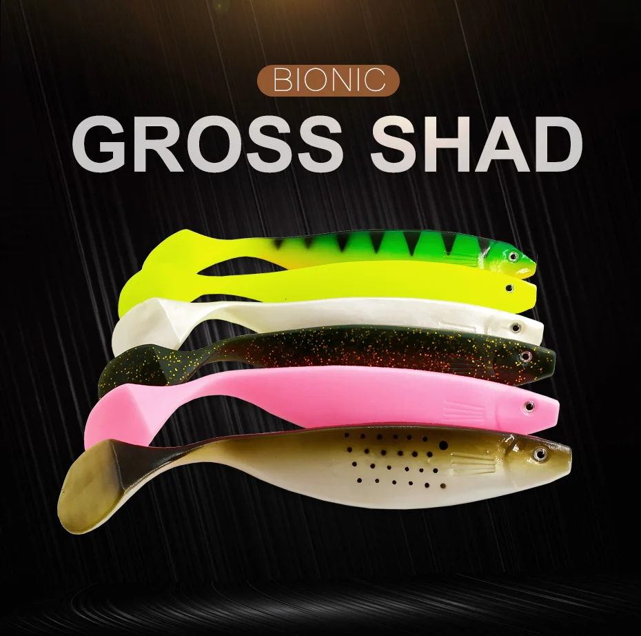 Gross Shad