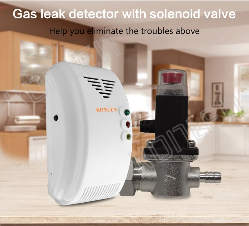 Gas detector with Solenoid valve for home cylinder  03