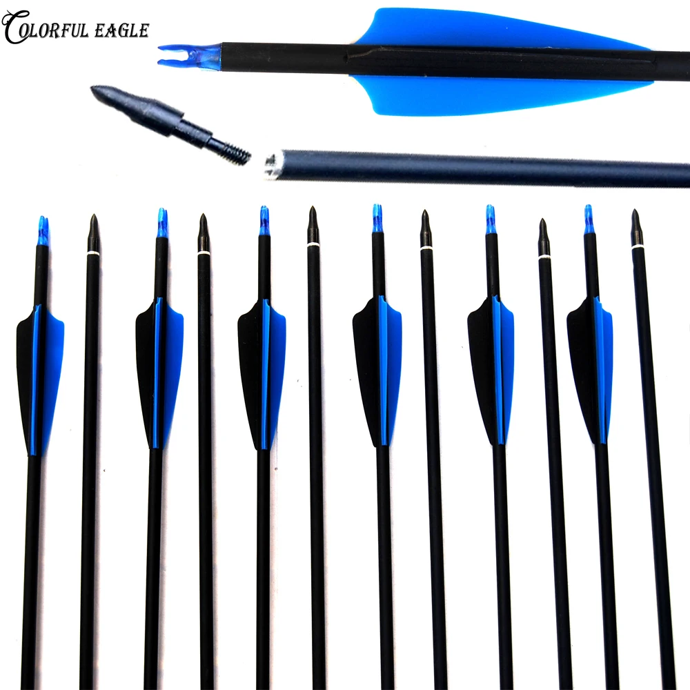 

6/12/24pcs 28/30/31inch Archery Carbon Arrows Hunting Arrow 500 Spine with Replace Arrowheads for Compound/Recurve Bow 30-60lbs