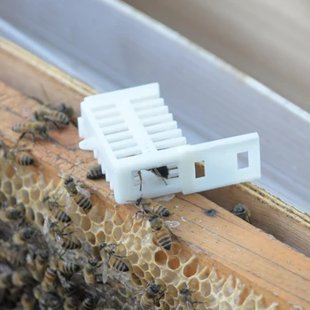 

5pcs Multifunctional King Cage queen rearing new bee cages plastic bees cells room rooms cell cups cup beekeeper tools sales