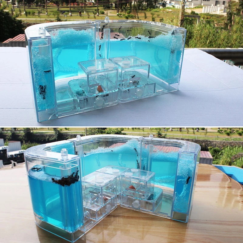 toy ant farm