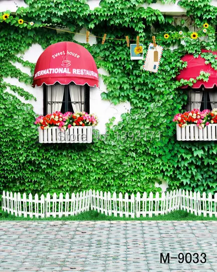 

new arrived hot sale 8*12ft vinyl photography photo studio photographic backdrops Garden, green leaves wall red window m-9033