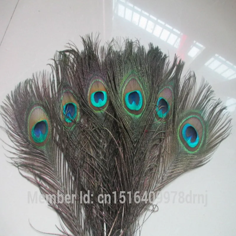 wholesale high quality 10 rare natural peacock feather 25 30 cm / 10 12