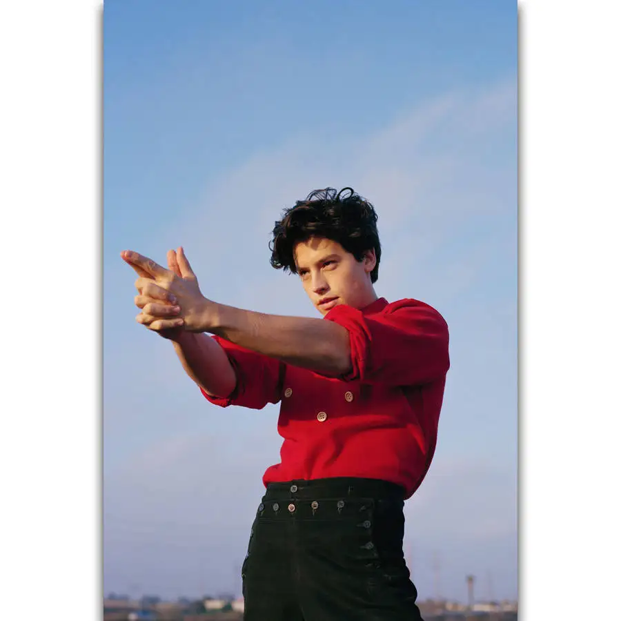 S1368 Cole Sprouse Actor Movie Star