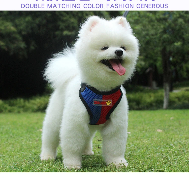 Dog Cat Harness Fashion Double Match Color Dog Vest Mesh Breathable Harness for Small Medium Dog Yorkie Teddy Walking Lead Leash