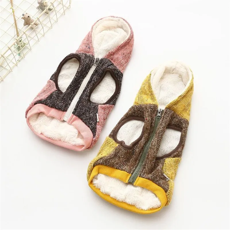 dog winter clothes (1)
