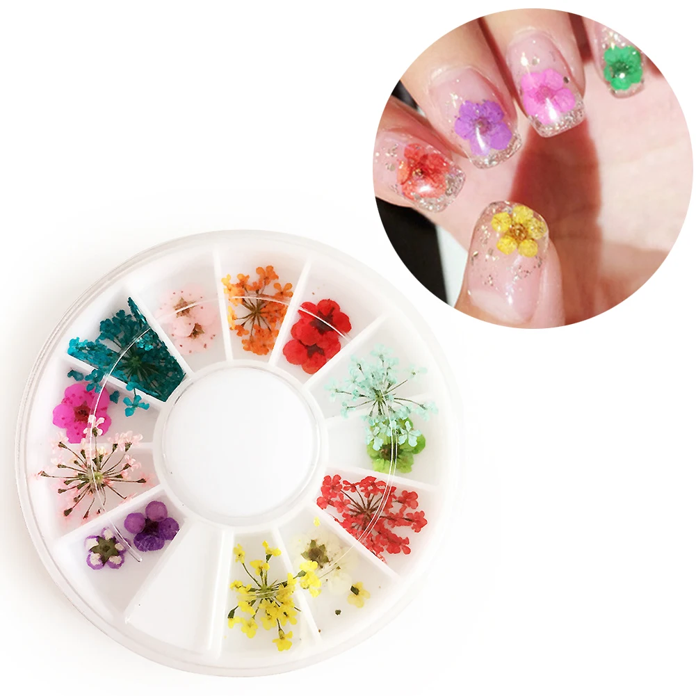 1 коробка украшение для ногтей Nail сухих цветов украшения Советы из серии сделай
