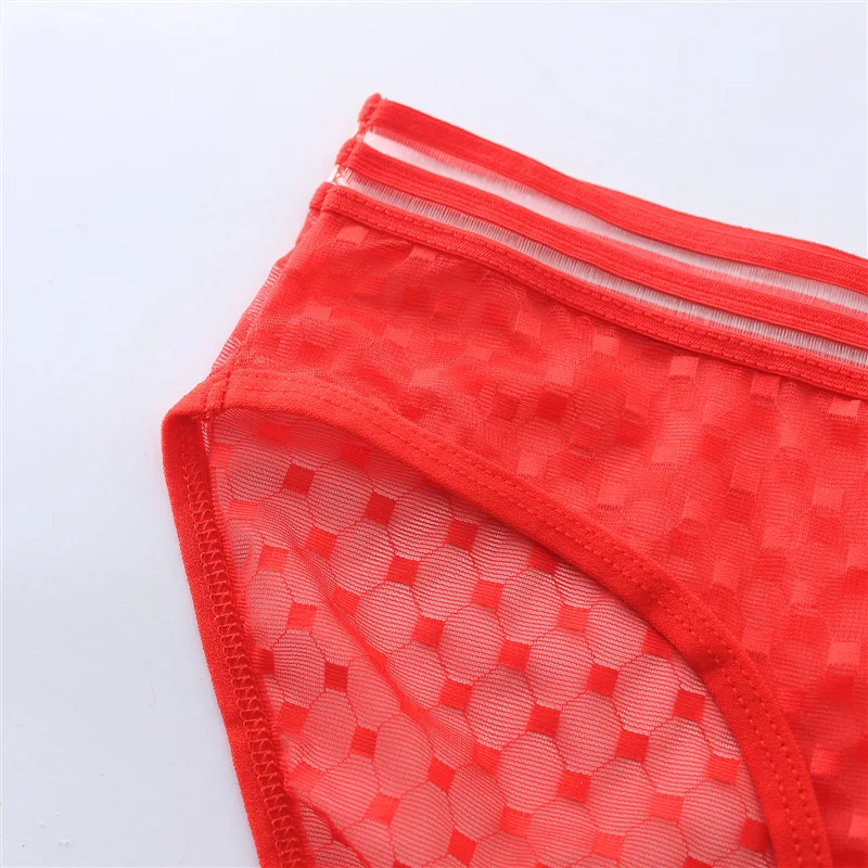 Transparent Mesh Panties Women Ultra-thin Seamless Briefs Charming Underwear Women Breathable Womens Panties Underwear Lingerie