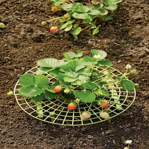 Handy strawberry supports for your garden,keep strawberries off rot in the rainy days random Color Handy strawberry supports for your garden,keep strawberries off rot in the rainy days random Color