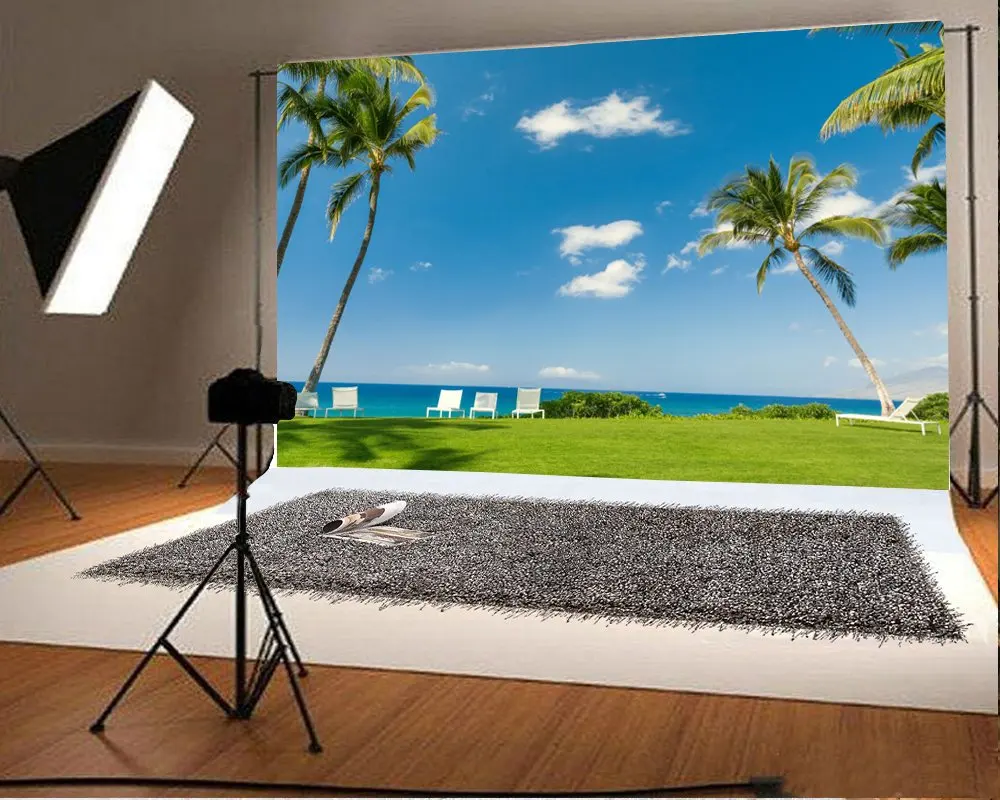 

Photography Backdrop Grapy Christmas Display Santa Claus Night Scene Backdrops Party